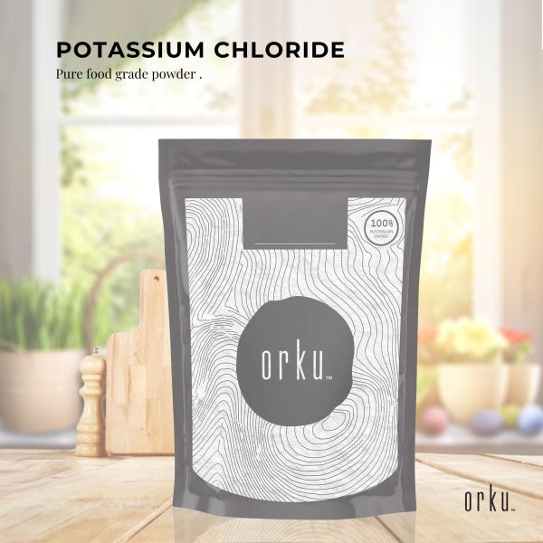 1Kg Potassium Chloride Powder - Pure E508 Food Grade Salt Substitute Supplement - Image 2