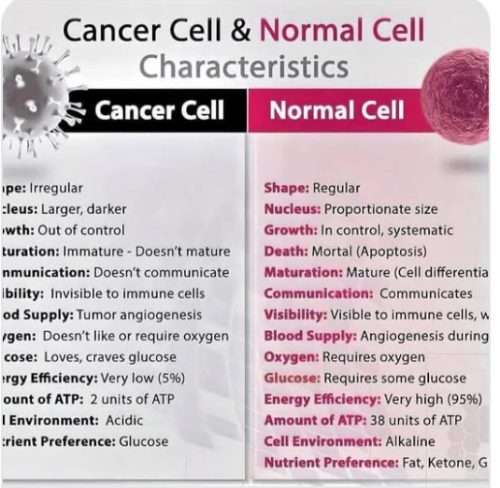 Charts - Cell characteristics