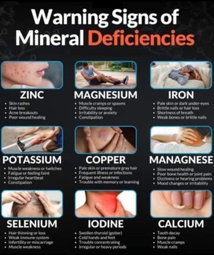 Charts-Mineral-deficiencies