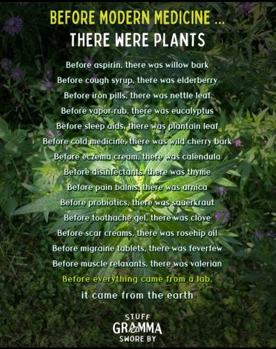 Charts-Plant-medicine