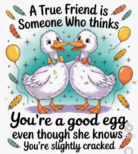 True friends