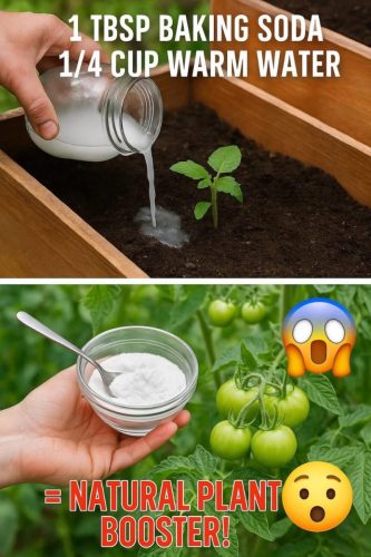 Charts - Baking soda