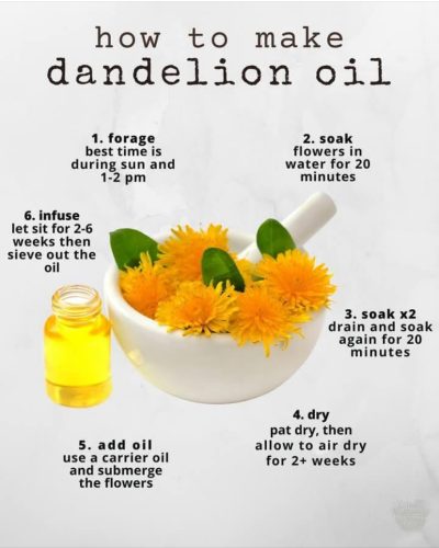 Charts - Dandelion oil