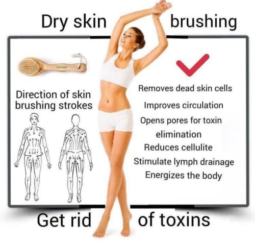 Charts - Lymphatic draining