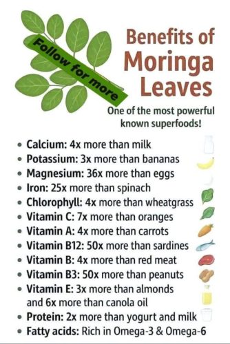 Charts - Moringa