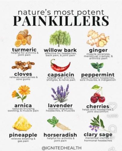 Charts - Pain killers