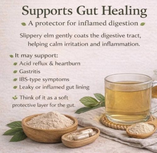 Charts - Gut healing