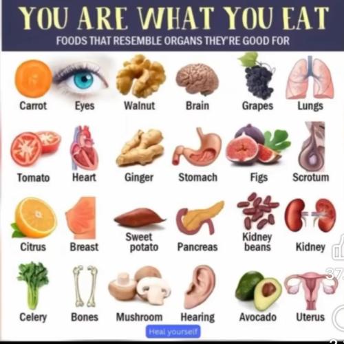 You are what you eat