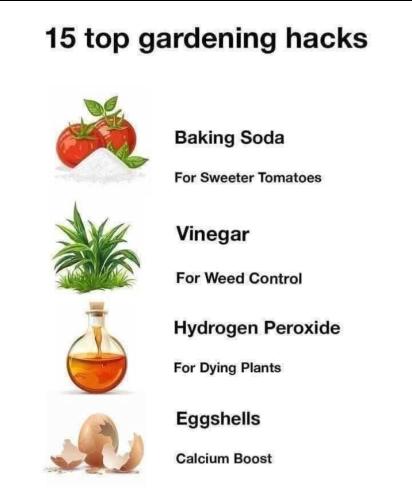 Charts - Gardening hacks