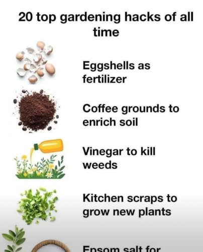 Charts - natural fertilizers