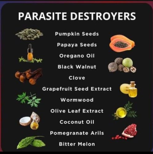 Charts - Parasite destroyers