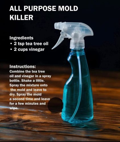 Charts - mould killer