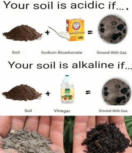 Charts - soil health