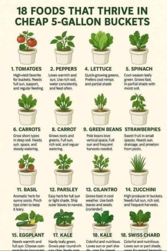 Charts - Grow in buckets