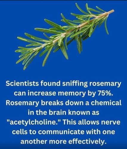 Charts - Improving memory