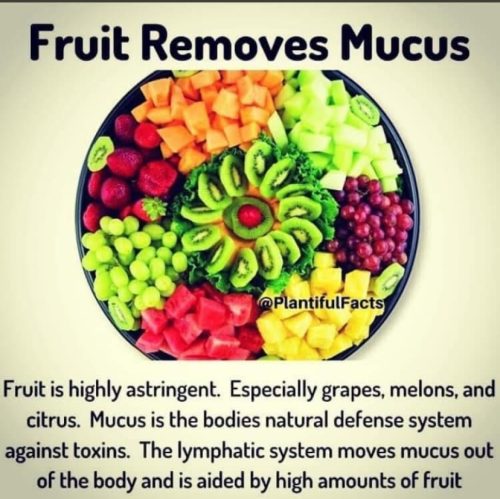 Charts - Nutrition information