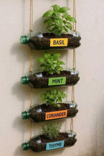 Charts - Grow your own