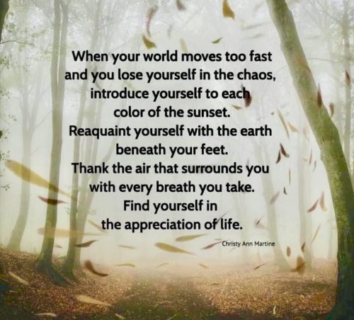 Nature-Life-and-Live-in-the-Moment